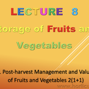 Storage of Fruits and Vegetables PPT